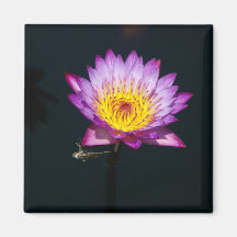 Paars Lotus Waterlily Dragonfly Nymph magnet