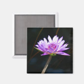 Paars Lotus Waterlily magnet (Voorkant / Achterkant)