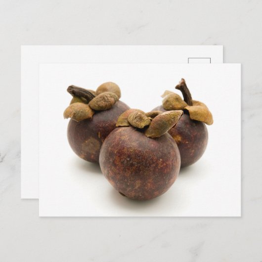 Paars Mangosteen Briefkaart (Voorkant / Achterkant)