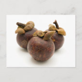 Paars Mangosteen Briefkaart (Voorkant)