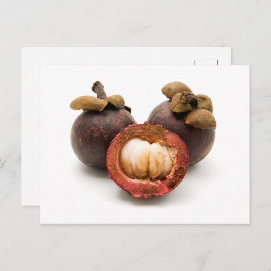 Paars Mangosteen Briefkaart (Voorkant / Achterkant)