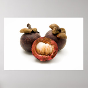 Paars Mangosteen Poster