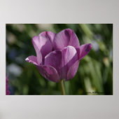 Paars moment poster (Voorkant)