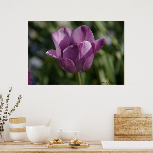 Paars moment poster (Keuken)