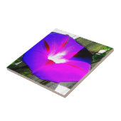 Paars morning Glory Flower Decorative Tile Tegeltje (Zijkant)