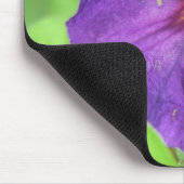 Paars Muismat (Hoek)