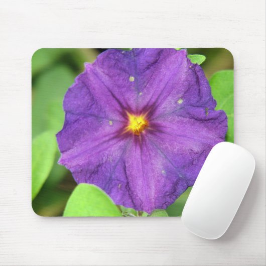 Paars Muismat (Met muis)