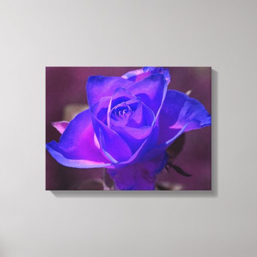 Paars N Roze Roze Roepdoek Canvas Afdruk (Voorkant)