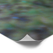 Paars N Turquoise Daylily Poster (Hoek)