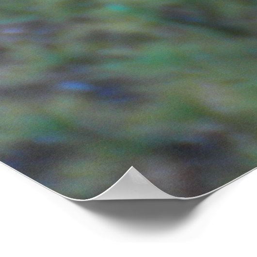 Paars N Turquoise Daylily Poster (Hoek)