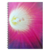 Paars Notitieboek (Voorkant)