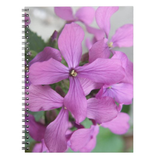 Paars Notitieboek van wilde bloemen (Voorkant)