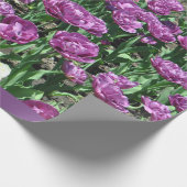 Paars omslagpapier cadeaupapier (Hoek)