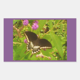 Paars Omwikkelde Zwarte Monarch Rechthoekige Sticker