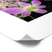 Paars Orchid Abstract Poster (Hoek)