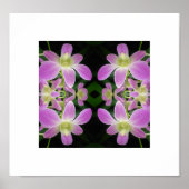 Paars Orchid Abstract Poster (Voorkant)