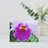 Paars Orchid Bloom Briefkaart (Staand voorkant)