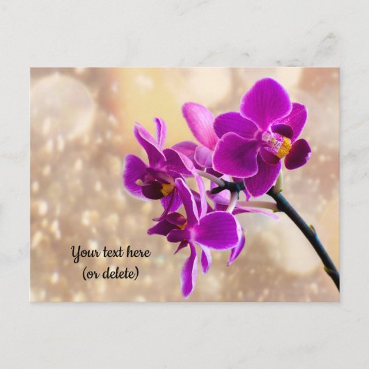 Paars Orchid Briefkaart (Voorkant)