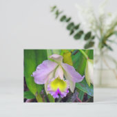 Paars Orchid Briefkaart (Staand voorkant)