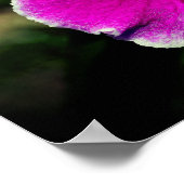 Paars Orchid Flower Center Sluiten Poster (Hoek)