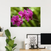 Paars Orchid poster (Thuiskantoor)
