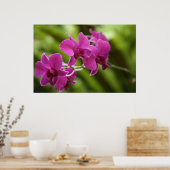 Paars Orchid poster (Keuken)