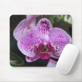 Paars orchidee muismat (Met muis)