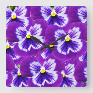 Paars pansies met vlinderachtige stoffen, vierkante klok