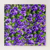 Paars Pansy Field Legpuzzel (Horizontaal)
