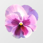  Paars Pansy Flower Raamsticker (Vel)