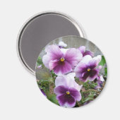 Paars Pansy Magnet (Voorkant / Achterkant)
