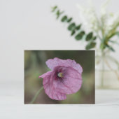 Paars papaver Briefkaart (Staand voorkant)