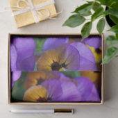 paars papier voor pantserweefsel (Geschenk)