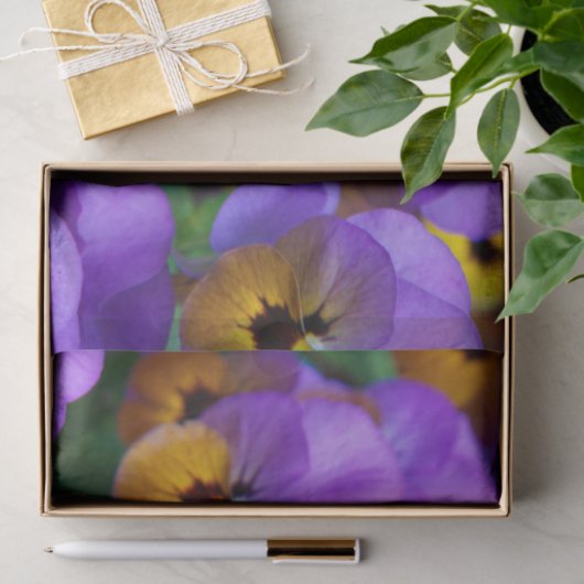 paars papier voor pantserweefsel (Geschenk)