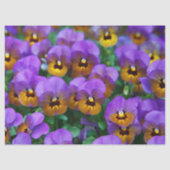 paars papier voor pantserweefsel (Voorkant)