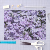 Paars papier voor Phlox-weefsel (Craft)