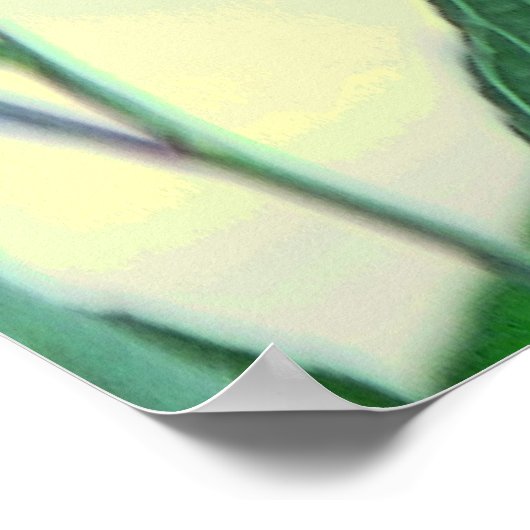 Paars Paradise Poster (Hoek)