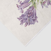 Paars Pentstemon van Mary Vaux Walcott Tissuepapier (Detail)