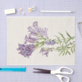 Paars Pentstemon van Mary Vaux Walcott Tissuepapier (Craft)