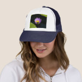 Paars Pet Lotus Waterlily (In situ)