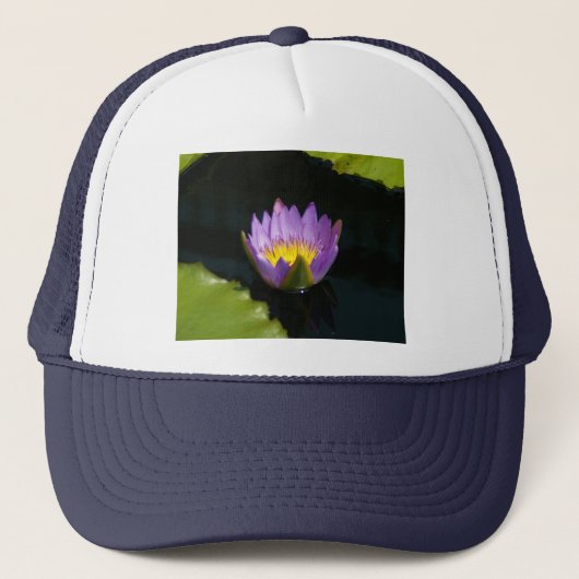 Paars Pet Lotus Waterlily (Voorkant)
