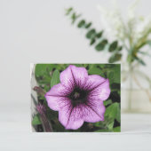 Paars Petunia Briefkaart (Staand voorkant)