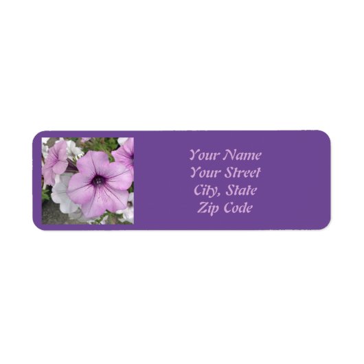 Paars Petunia Flower-etiket Etiket (Voorkant)