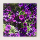 Paars Petunia Flower Legpuzzel (Horizontaal)