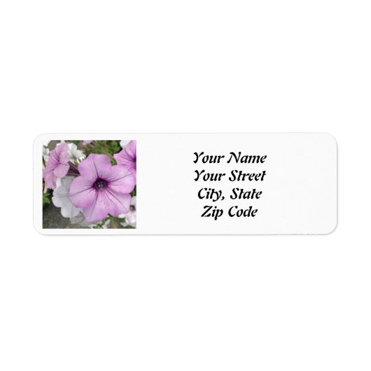 Paars Petunia Foto Etiket (Voorkant)