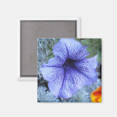 Paars Petunia Magneet (Voorkant / Achterkant)