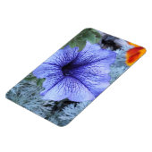 Paars Petunia Magnet Magneet (Linkerzijde)