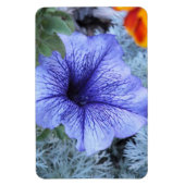 Paars Petunia Magnet Magneet (Verticaal)
