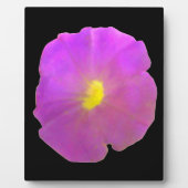 Paars Petunia Plaque Fotoplaat (Voorkant)