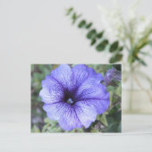 Paars Petunia Postcad Briefkaart (Staand voorkant)
